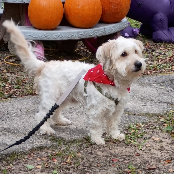 "MendyLew'sMadness" - Picture 11 of 11